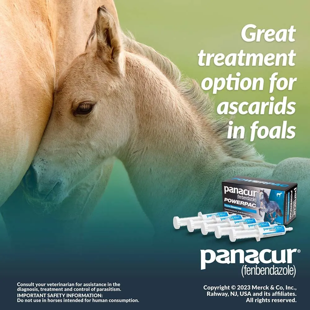 Panacur Powerpac Fenbendazole Horse Dewormer