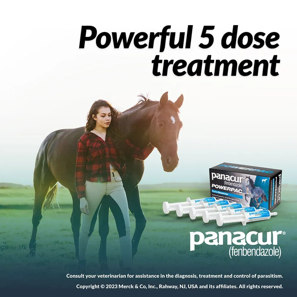 Panacur Powerpac Fenbendazole Horse Dewormer