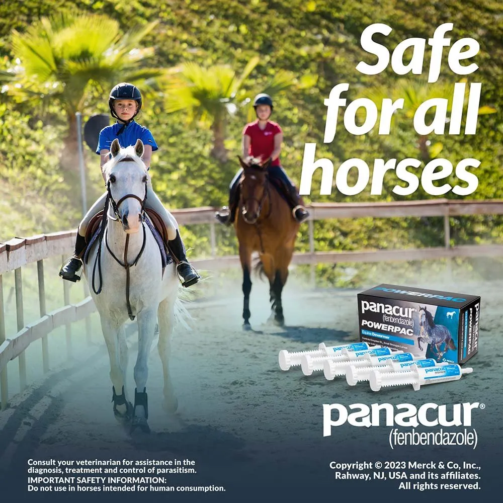 Panacur Powerpac Fenbendazole Horse Dewormer