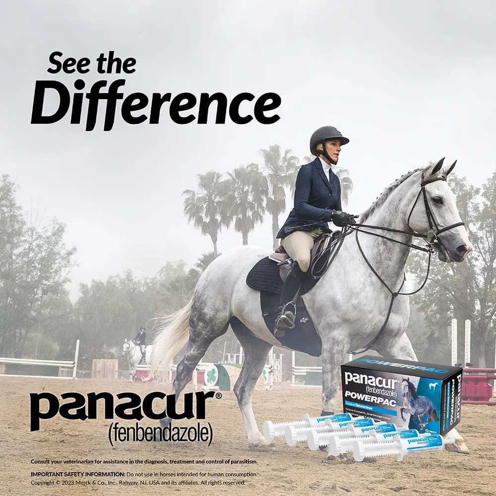 Panacur Powerpac Fenbendazole Horse Dewormer