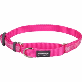 Paw Impressions Hot Pink Martingale dog leash harness set dog leash clip rope dog leash retractable leash