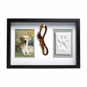 Pearhead Pet Memorial Collar Frame with Clay Impression dog pain relief hip joint supplement senior dog care pet arthritis aid dog skin supplement