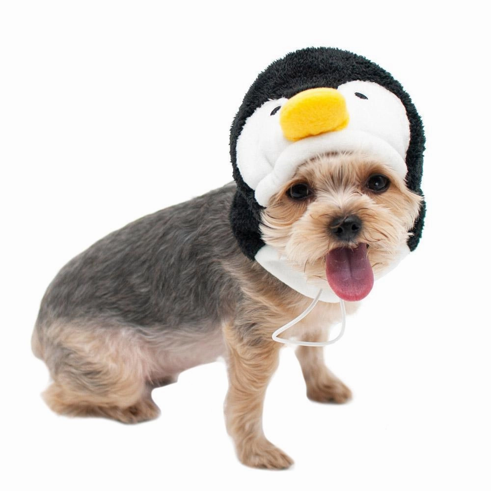 Penguin Dog Hat