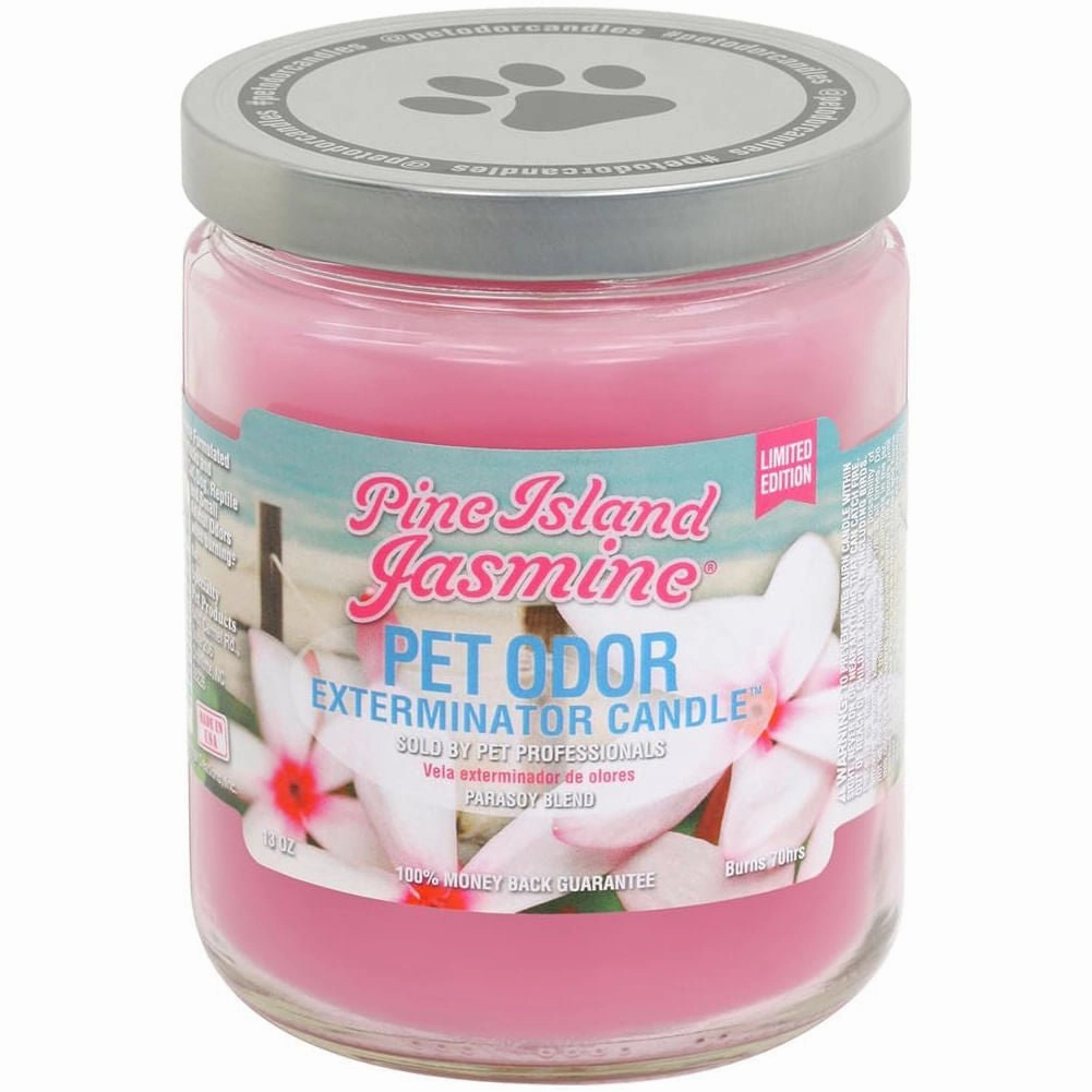 Pet Odor Exterminator Candle, Pine Island Jasmine, 13 oz cat climbing tree cat hammock cat steps cat grooming kit cat safety gate