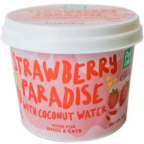 PetCubes Strawberry Paradise Sorbet Frozen Ice Cream for Dogs & Cats 3.5oz dog sweater dog tuxedo dog dress holiday dog outfit dog birthday shirt