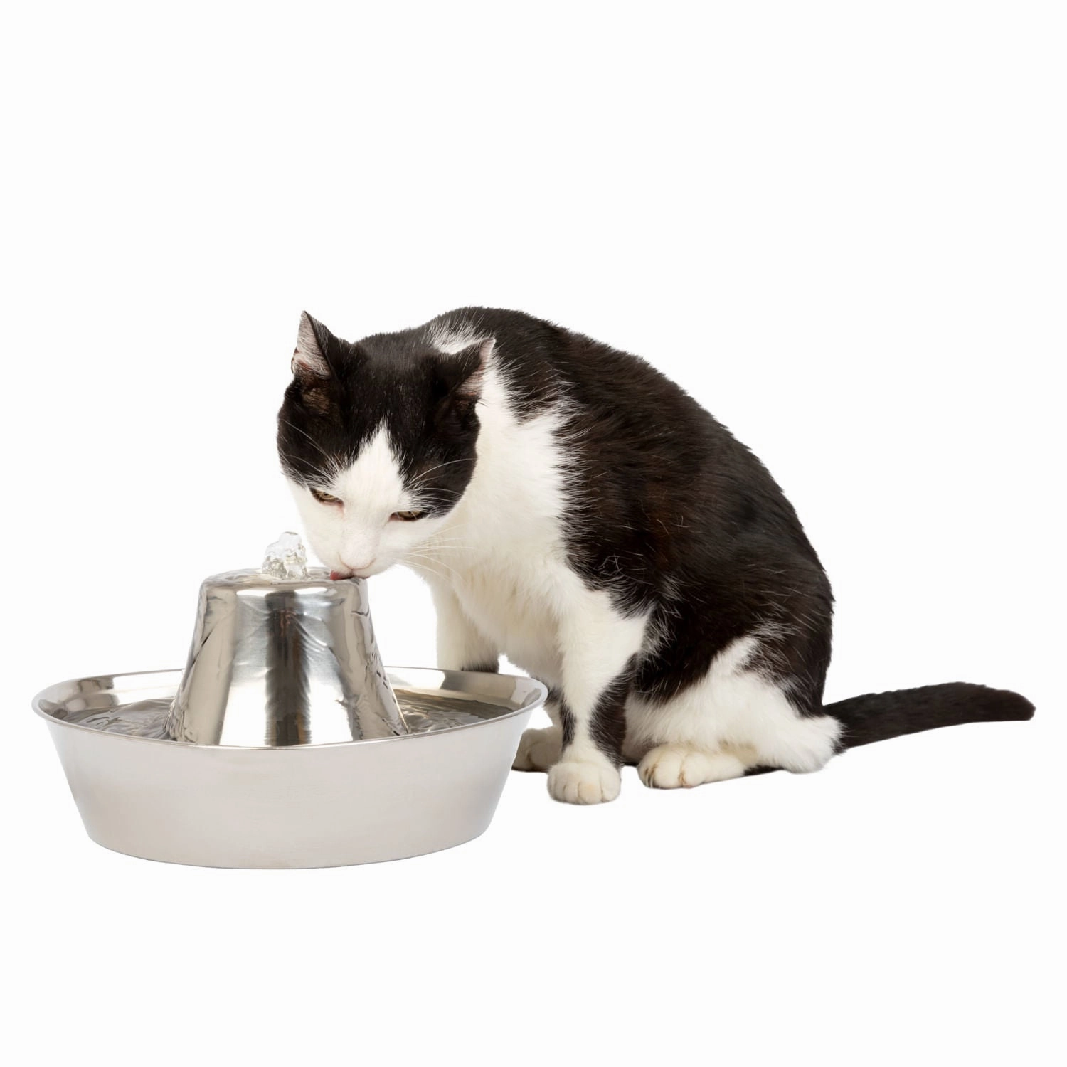 PetSafe Seaside Stainless Pet Fountain