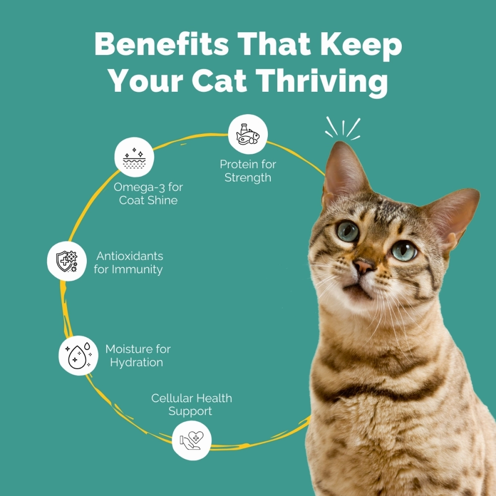PetStrong Mackerel and Seaweed in Gravy Cat Wet Food