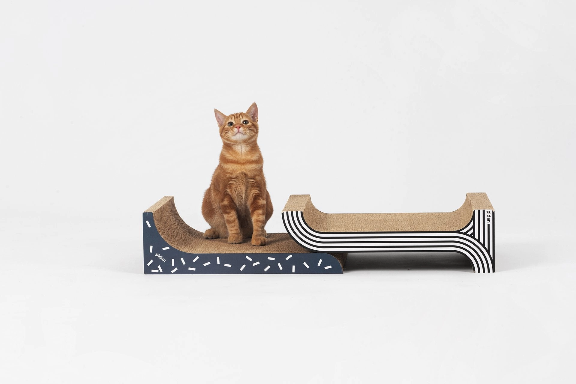 Pidan 2   1 Cat Scratcher