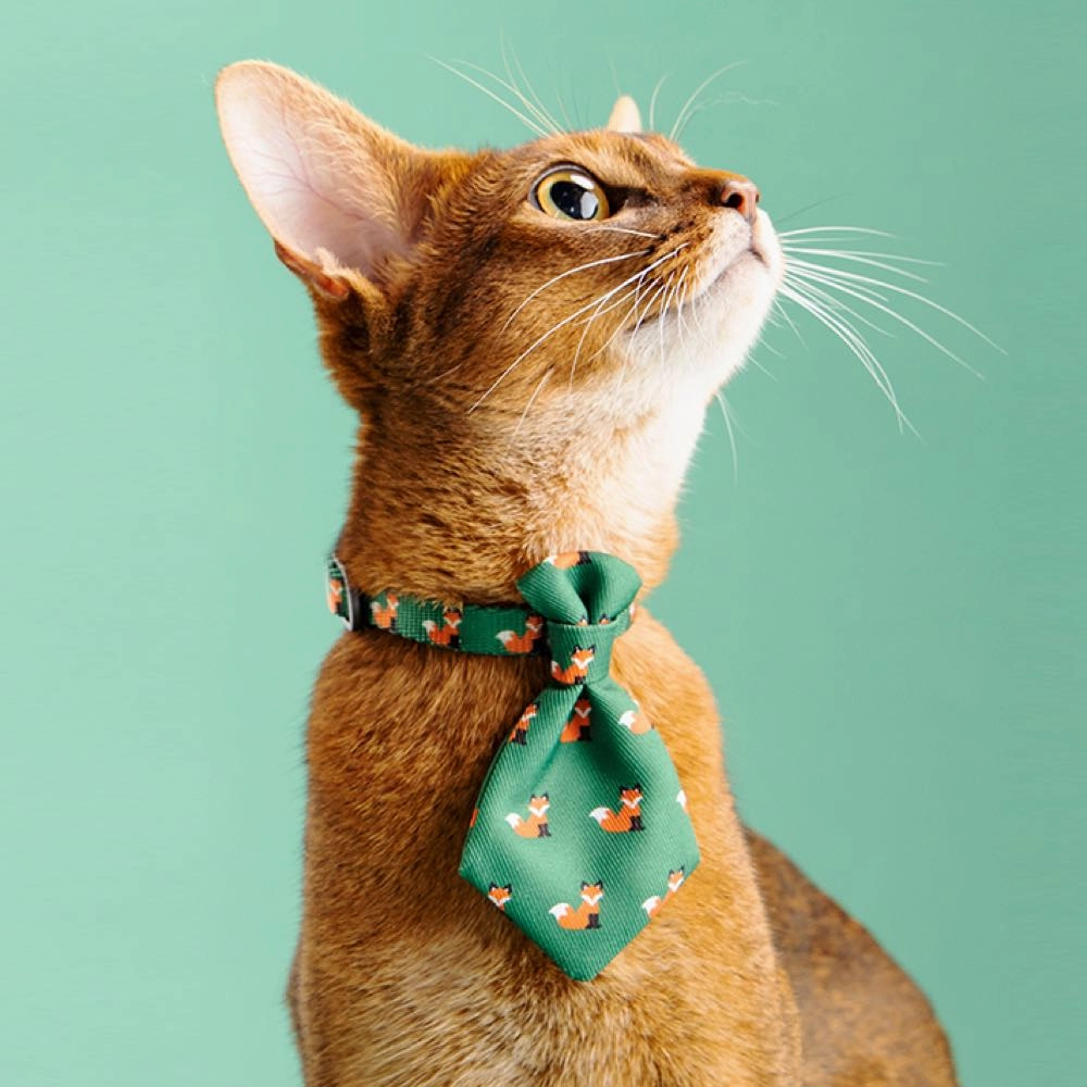 Pidan Necktie Cat Collar (Fox)