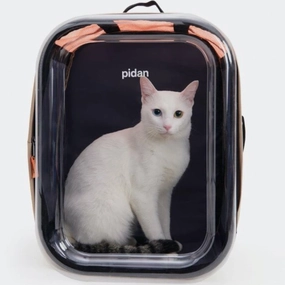 Pidan Pet Backpack Carrier cat accessories cat collar cat harness cat backpack cat ID tag