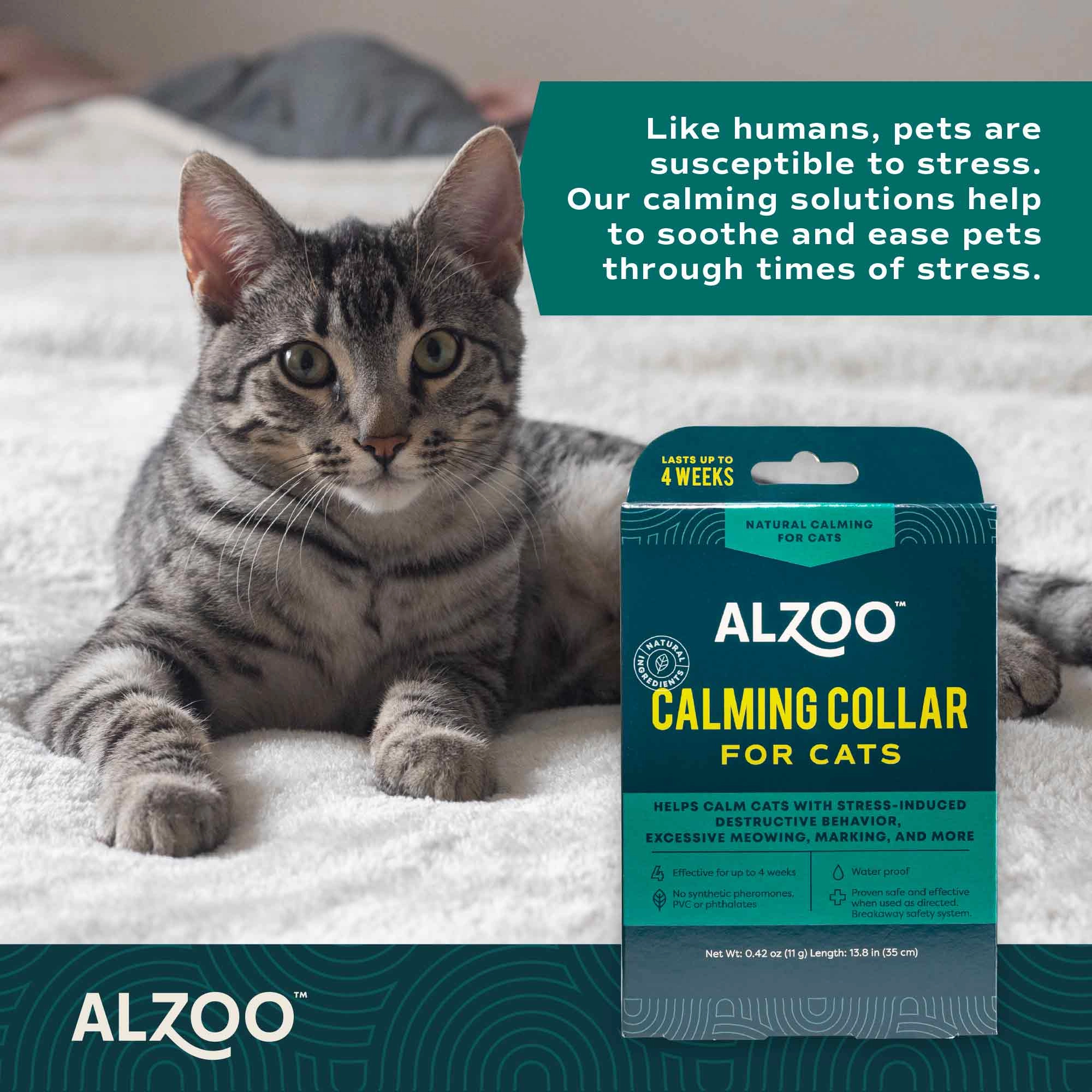 Plant-Based Natural Calming Collar for Cats