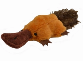 Platty Pup Cat Toy cat beds cat scratching post cat shampoo cat tunnel cat brush