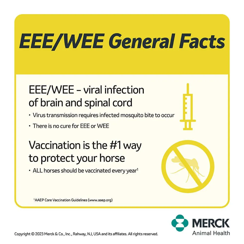 Prestige 5 Horse Vaccine