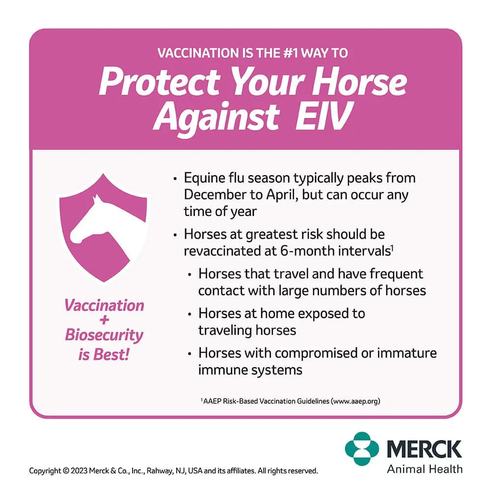 Prestige 5 Horse Vaccine