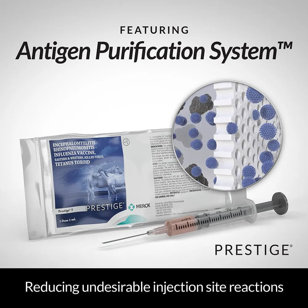 Prestige 5 Horse Vaccine