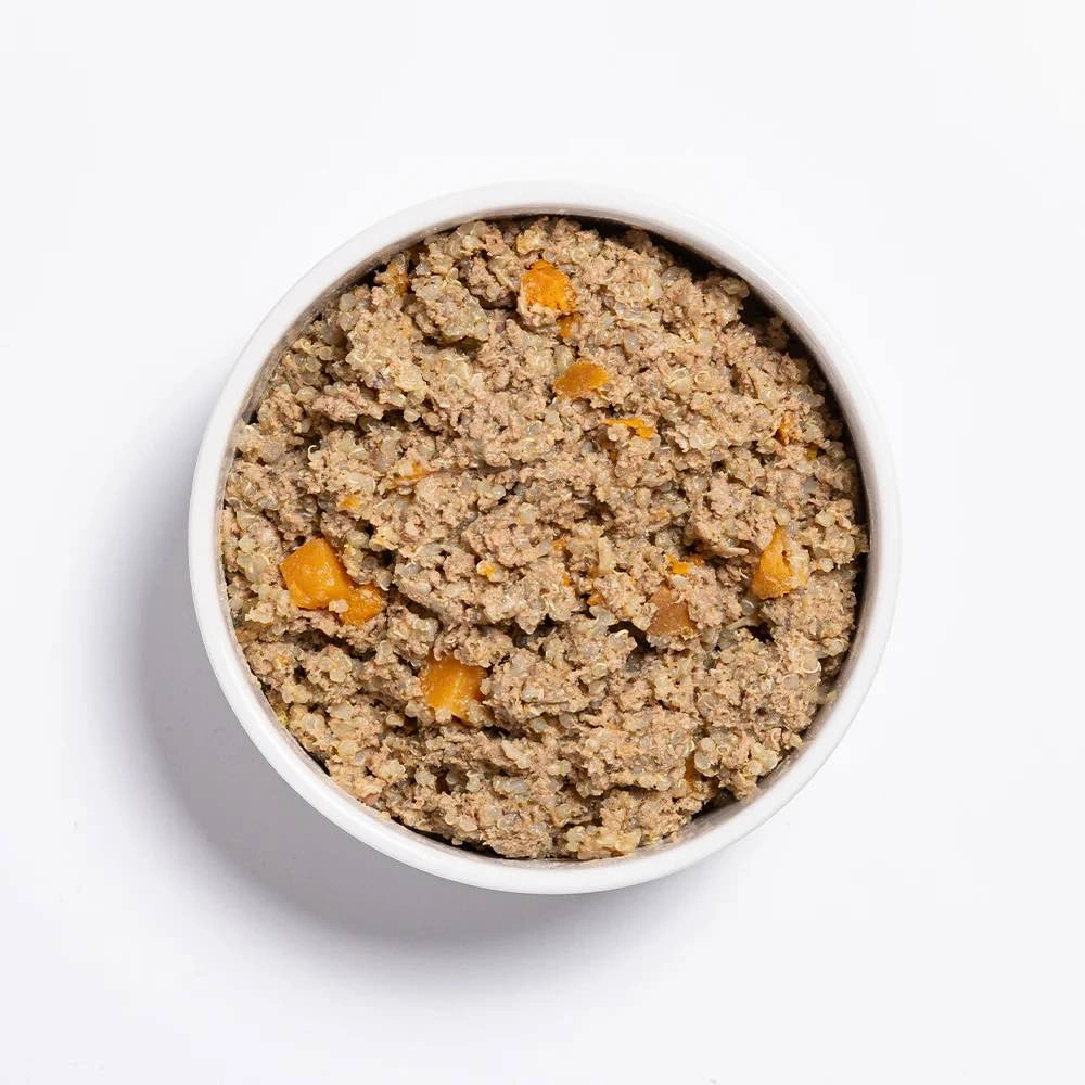 Prime100 SPD Slow Cooked Turkey & Flaxseed Wet Dog Food 354g