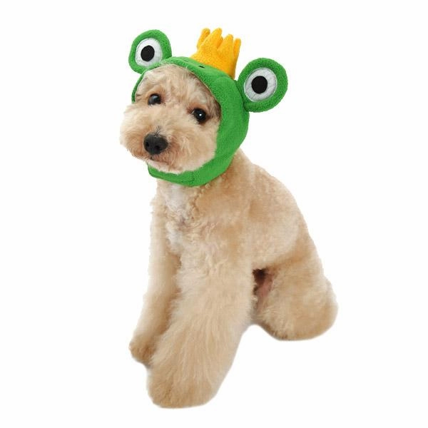 Prince Frog Dog Hat