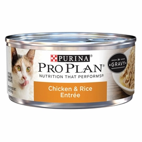 Pro Plan Chicken & Rice Wet Cat Food cat supplies cat house cat tree cat feeder cat collar