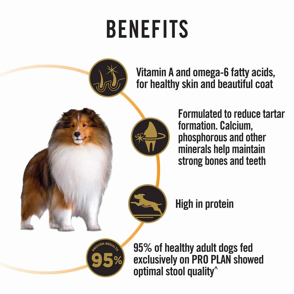 Pro Plan Medium Adult Chicken Formula with Probiotics Dry Dog Food 15kg