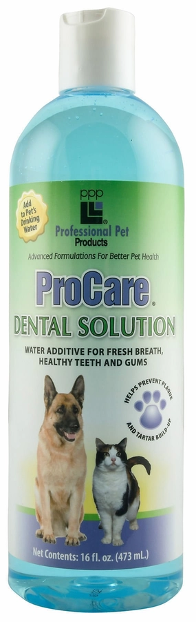 ProCare Dental Solution for Dogs & Cats, 16 oz cat grooming cat shampoo cat conditioner cat comb cat grooming glove