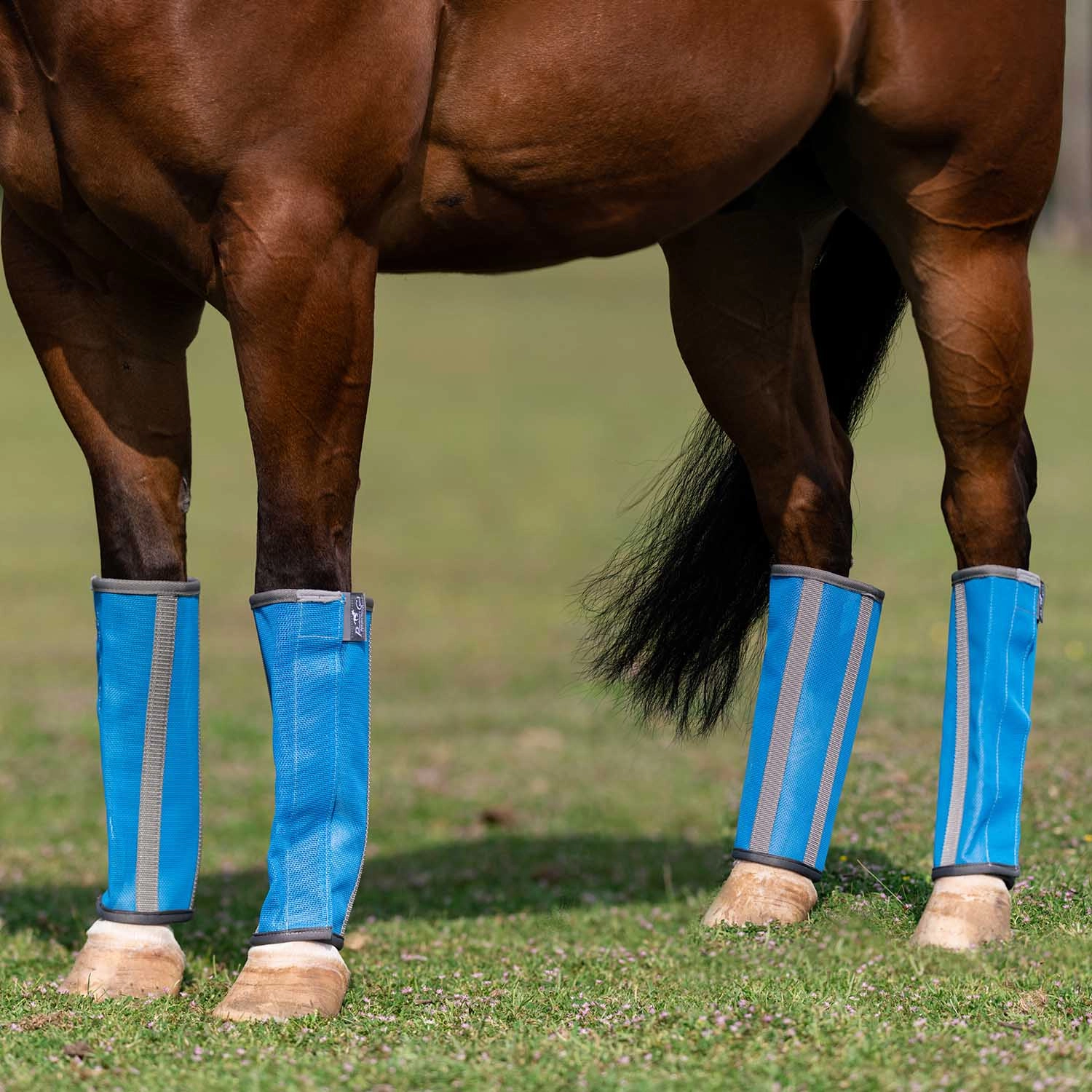 Professional's Choice Deluxe Breathable Mesh Horse Fly Boots, 4 pack