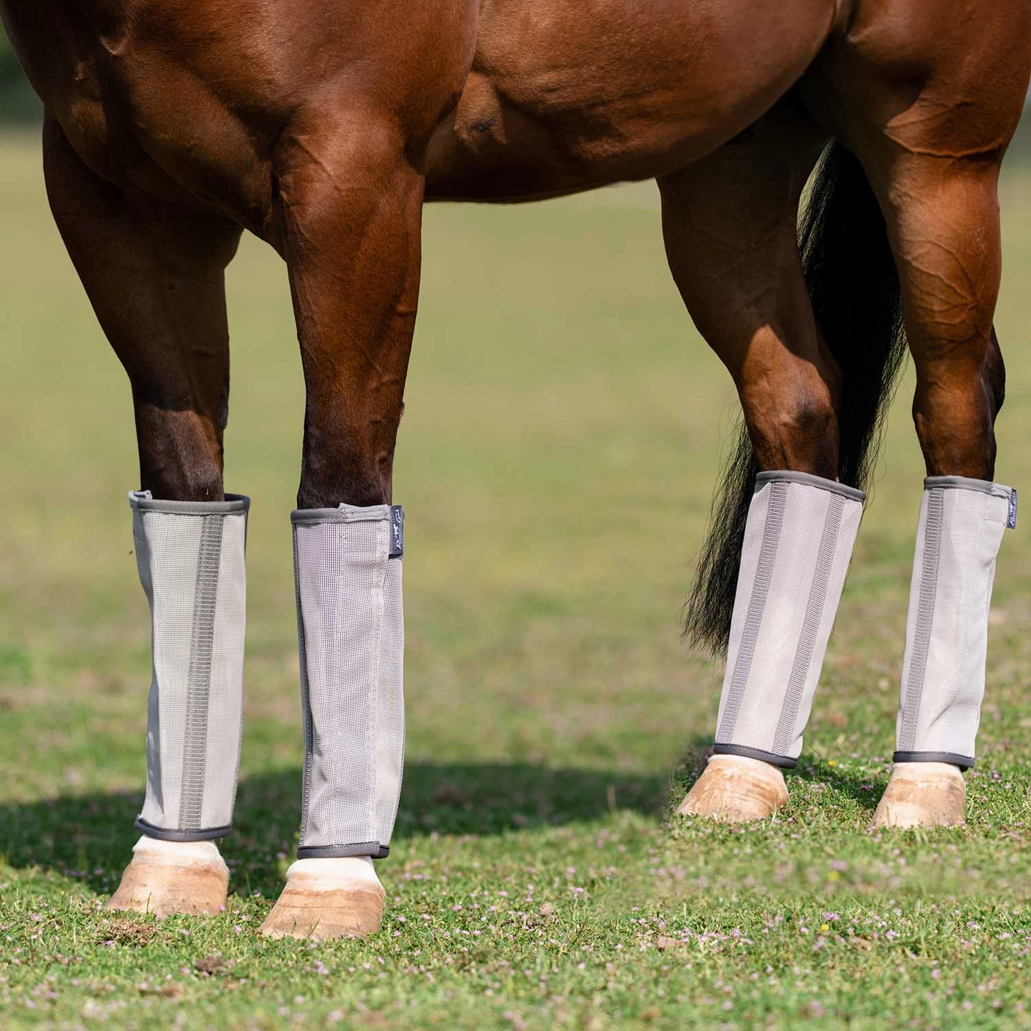 Professional's Choice Deluxe Breathable Mesh Horse Fly Boots, 4 pack