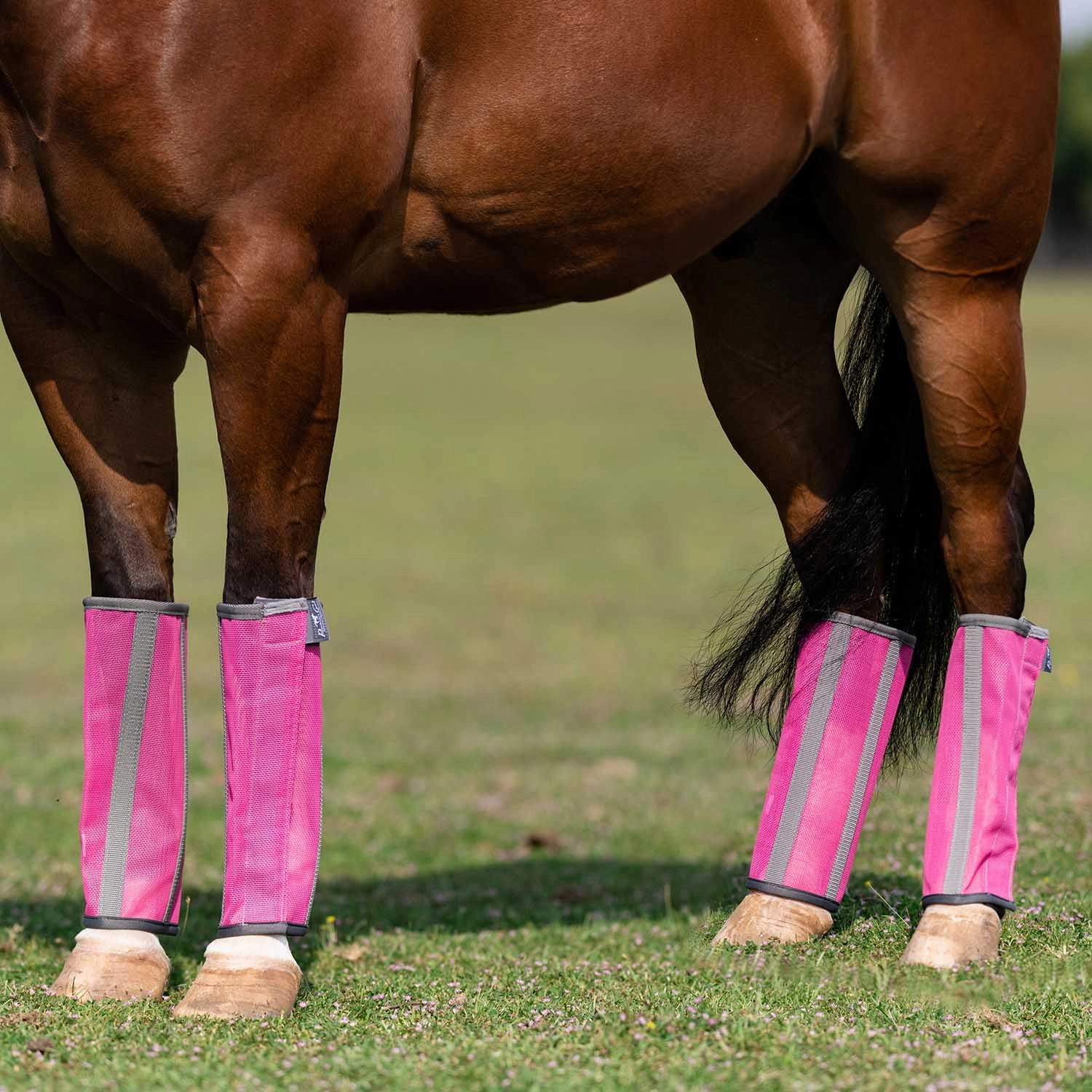 Professional's Choice Deluxe Breathable Mesh Horse Fly Boots, 4 pack