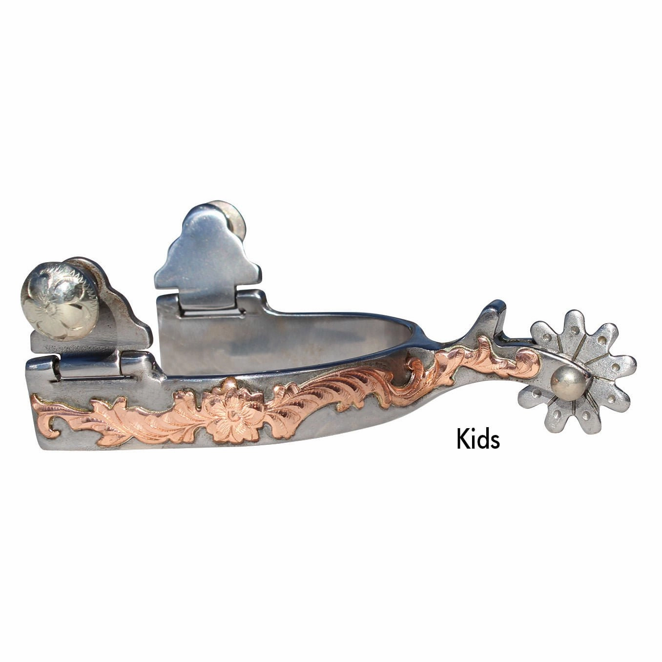 Professional's Choice Spurs, 10 Point Rowel