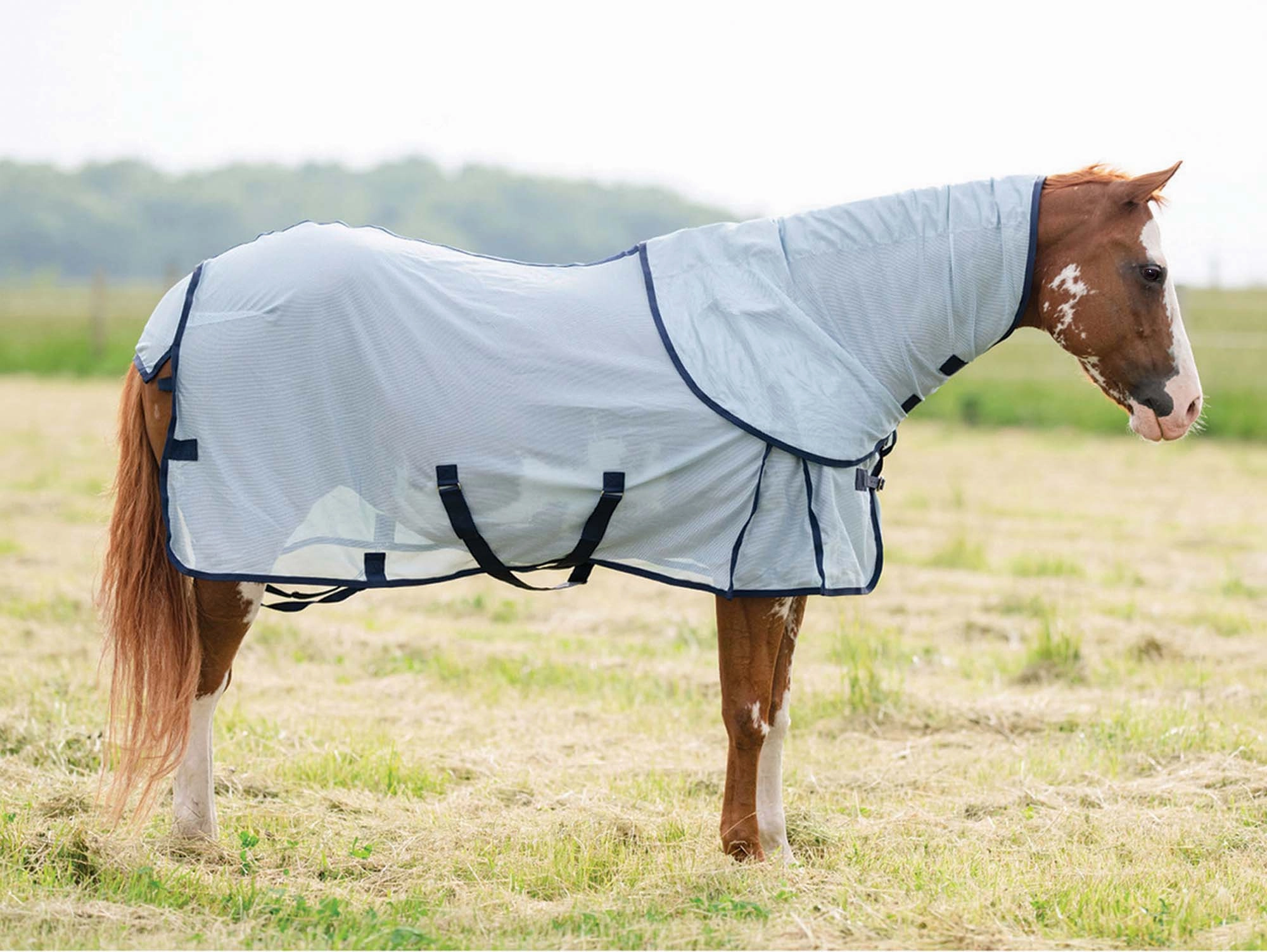 Professional's Choice Theramic Therapy Horse Fly Sheet pet shampoo pet brush pet wipes pet scissors pets comb