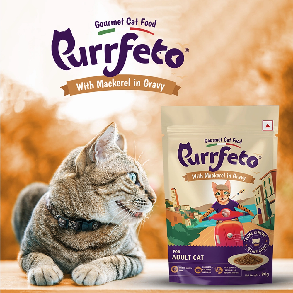 Purrfeto Mackerel in Gravy Adult Cat Wet Food