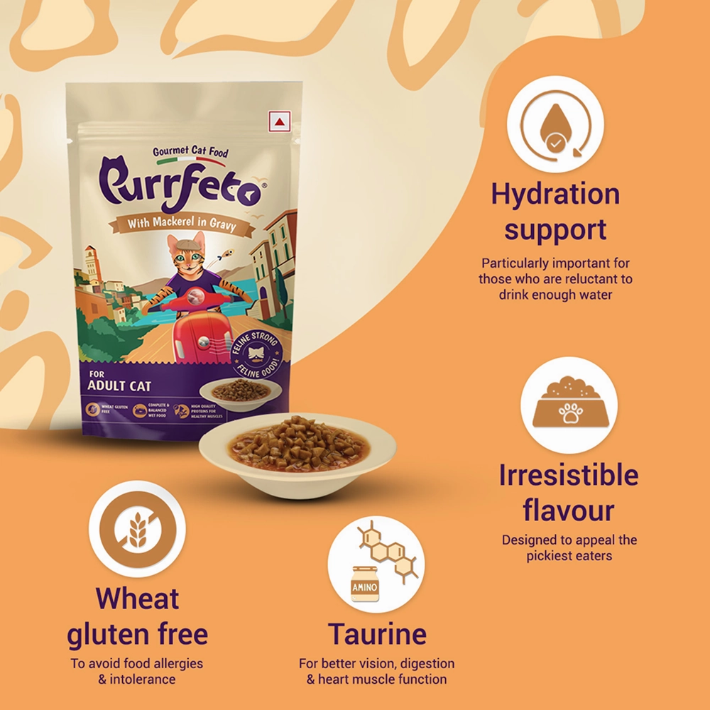 Purrfeto Mackerel in Gravy Adult Cat Wet Food