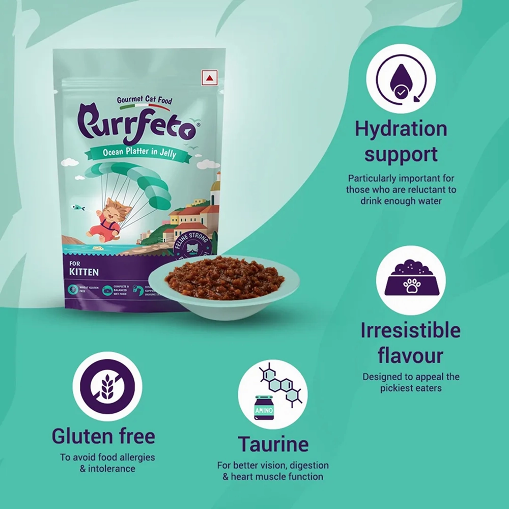Purrfeto Oceanfish Recipe in Jelly Kitten Cat Wet Food