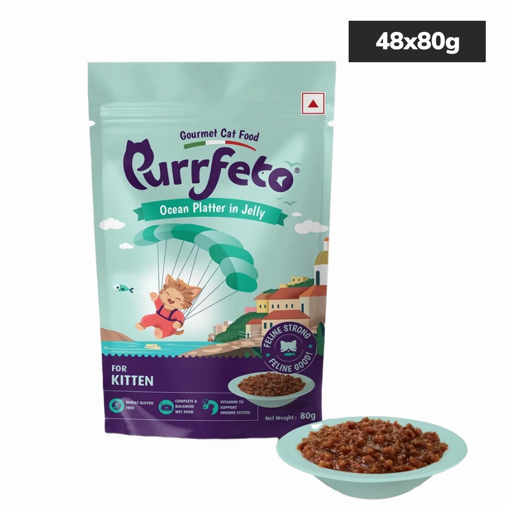 Purrfeto Oceanfish Recipe in Jelly Kitten Cat Wet Food