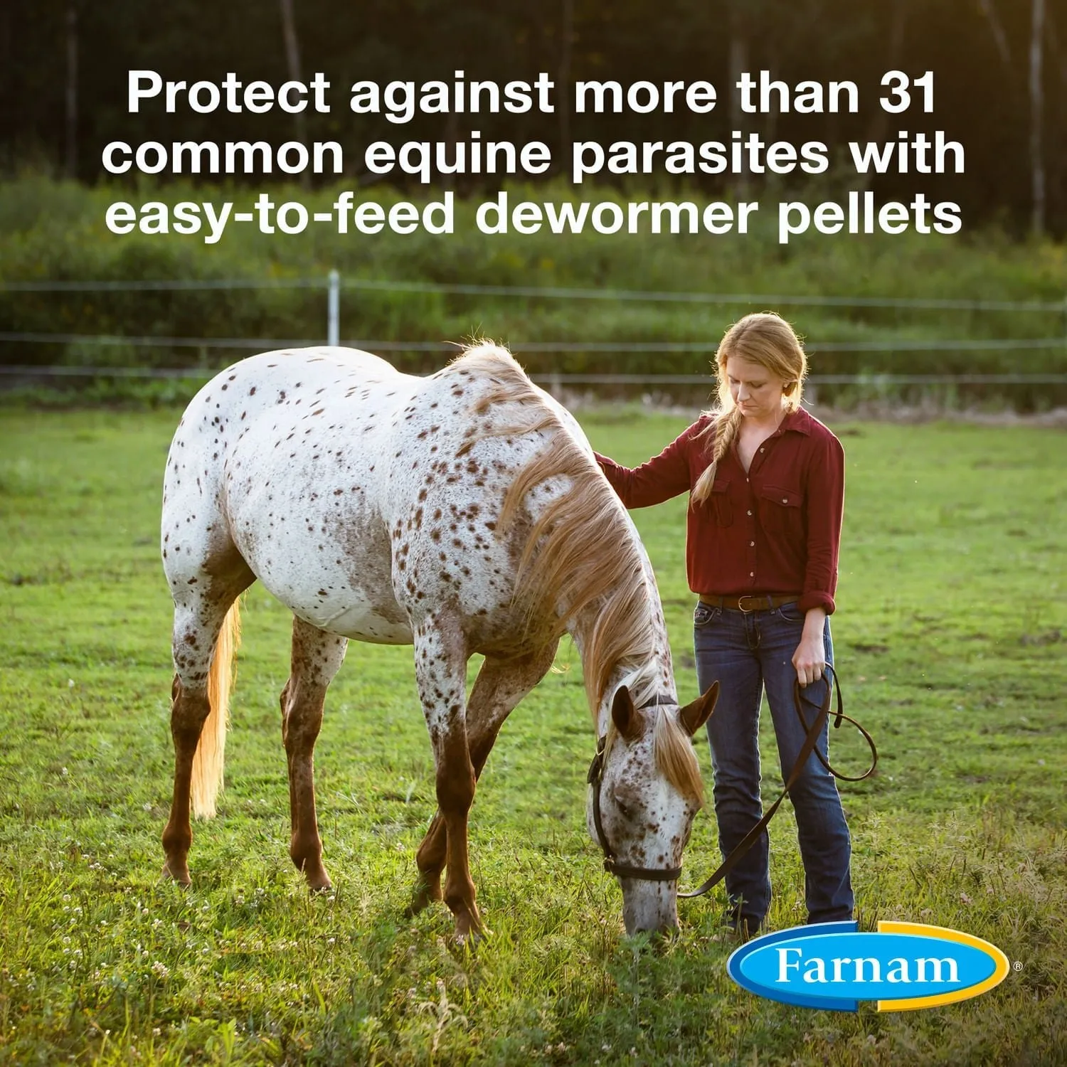 PyrantelCare Daily Dewormer 2.11%