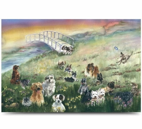 Rainbow Bridge Pet Sympathy Card cat beds cat scratching post cat shampoo cat tunnel cat brush