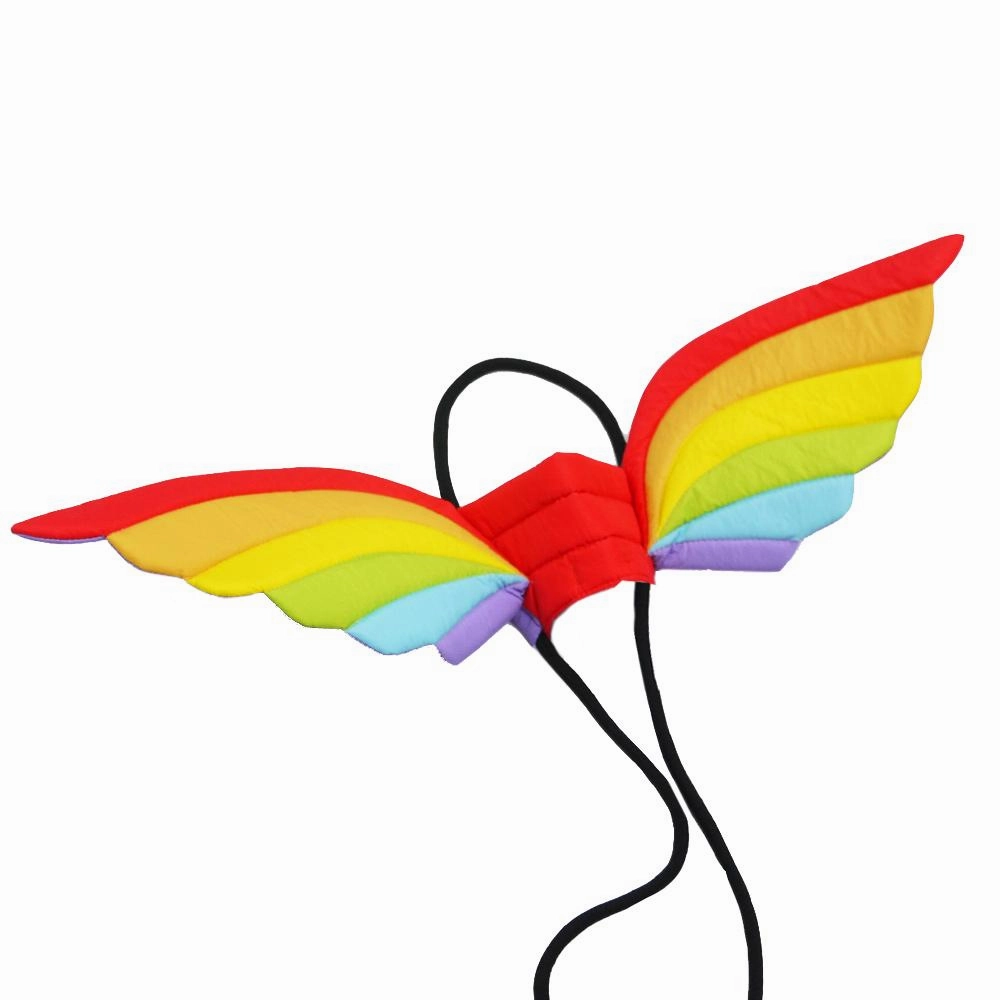 Rainbow Wings Dog Costume