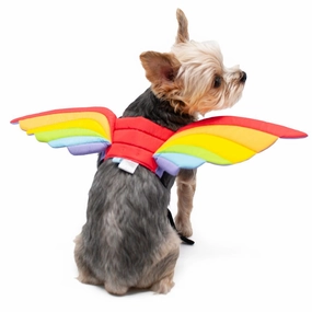 Rainbow Wings Dog Costume treats for dogs dog biscuits dog reward treats organic dog snacks natural dog biscuits