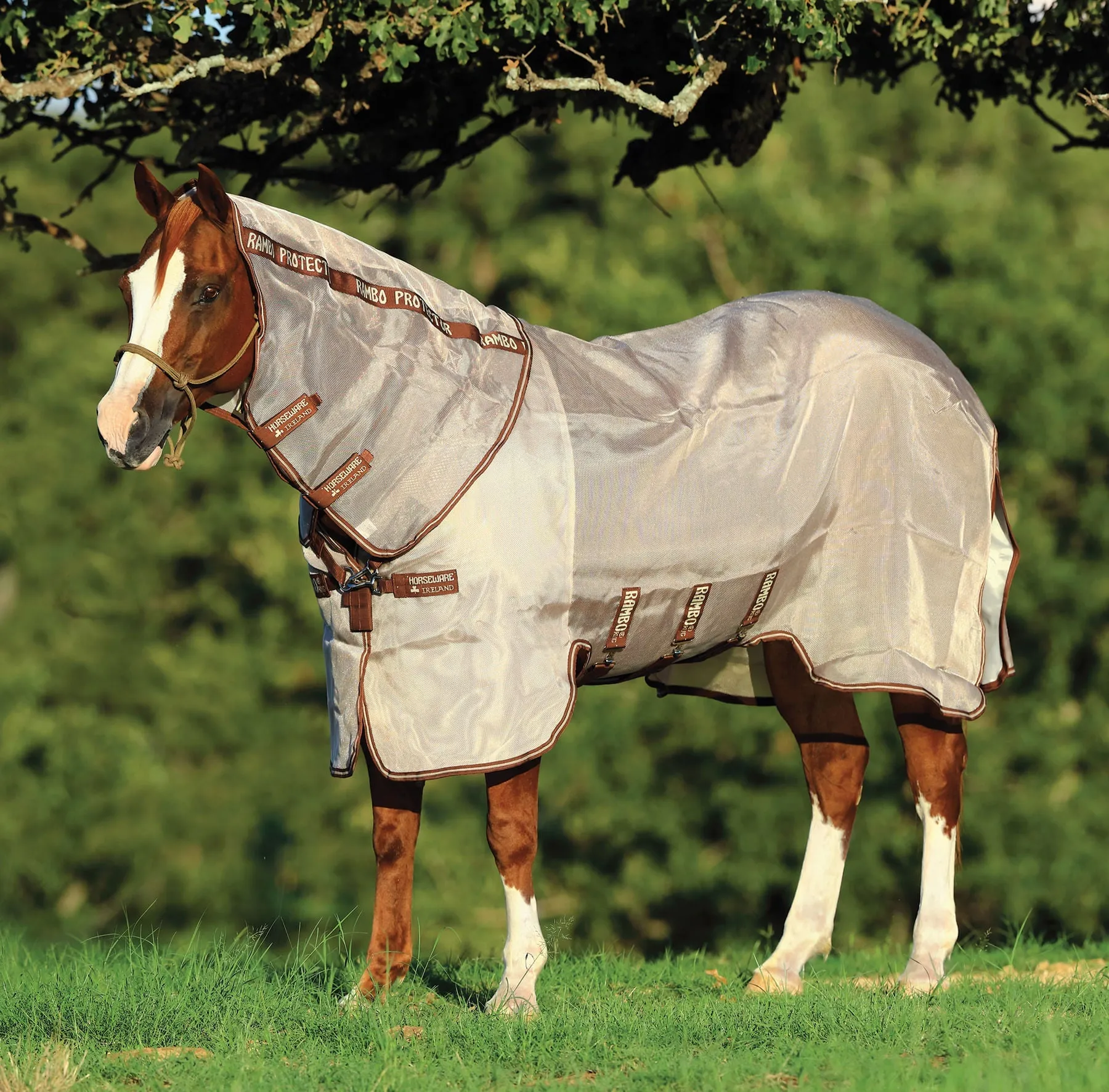 Rambo Protector Horse Fly Sheet