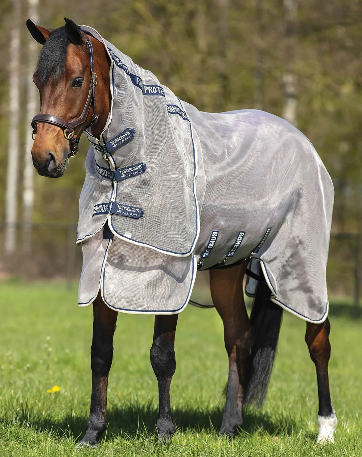 Rambo Protector Horse Fly Sheet