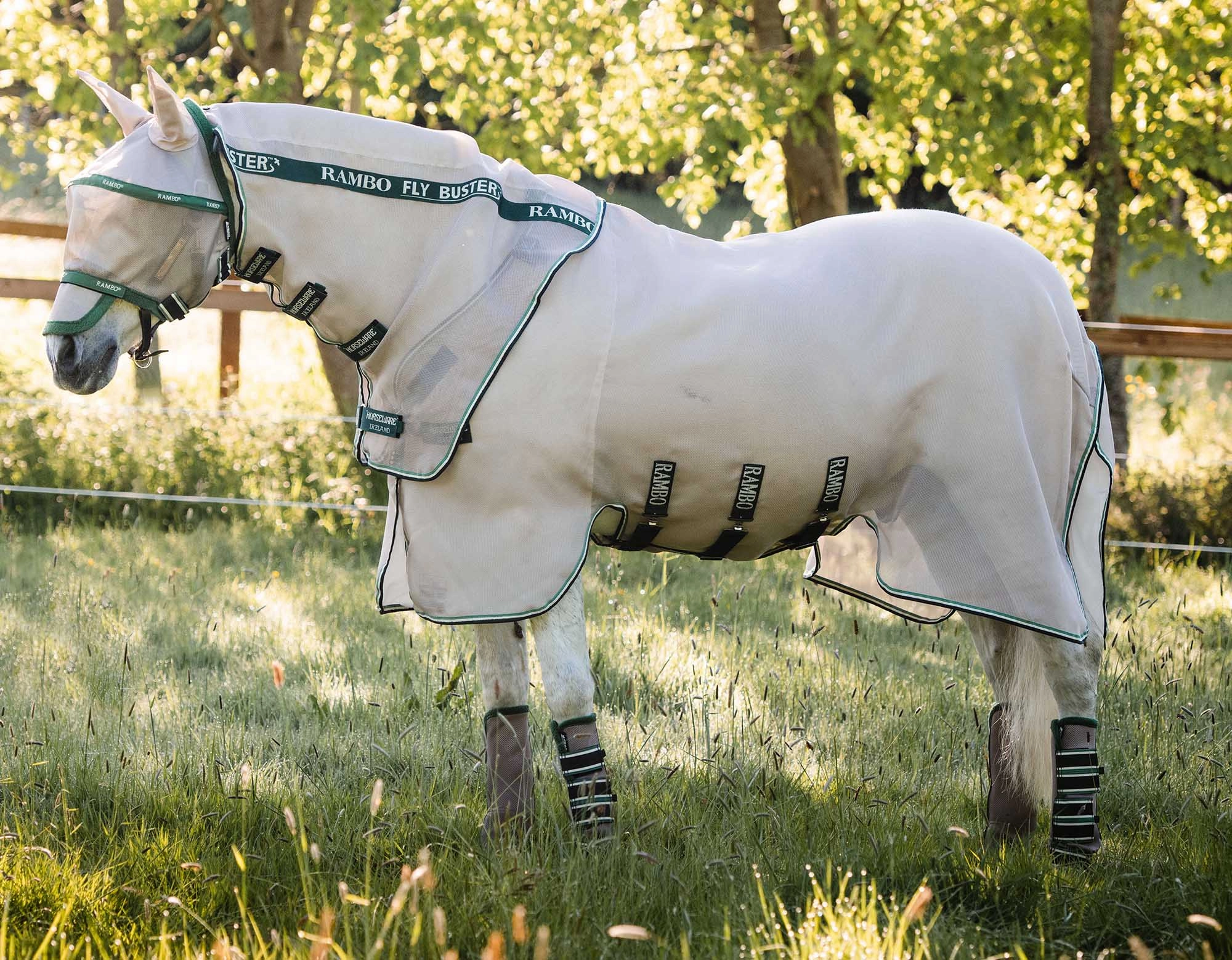 Rambo Fly Buster Vamoose with No-Fly Zone Horse Fly Sheet pet shampoo pet brush pet wipes pet scissors pets comb