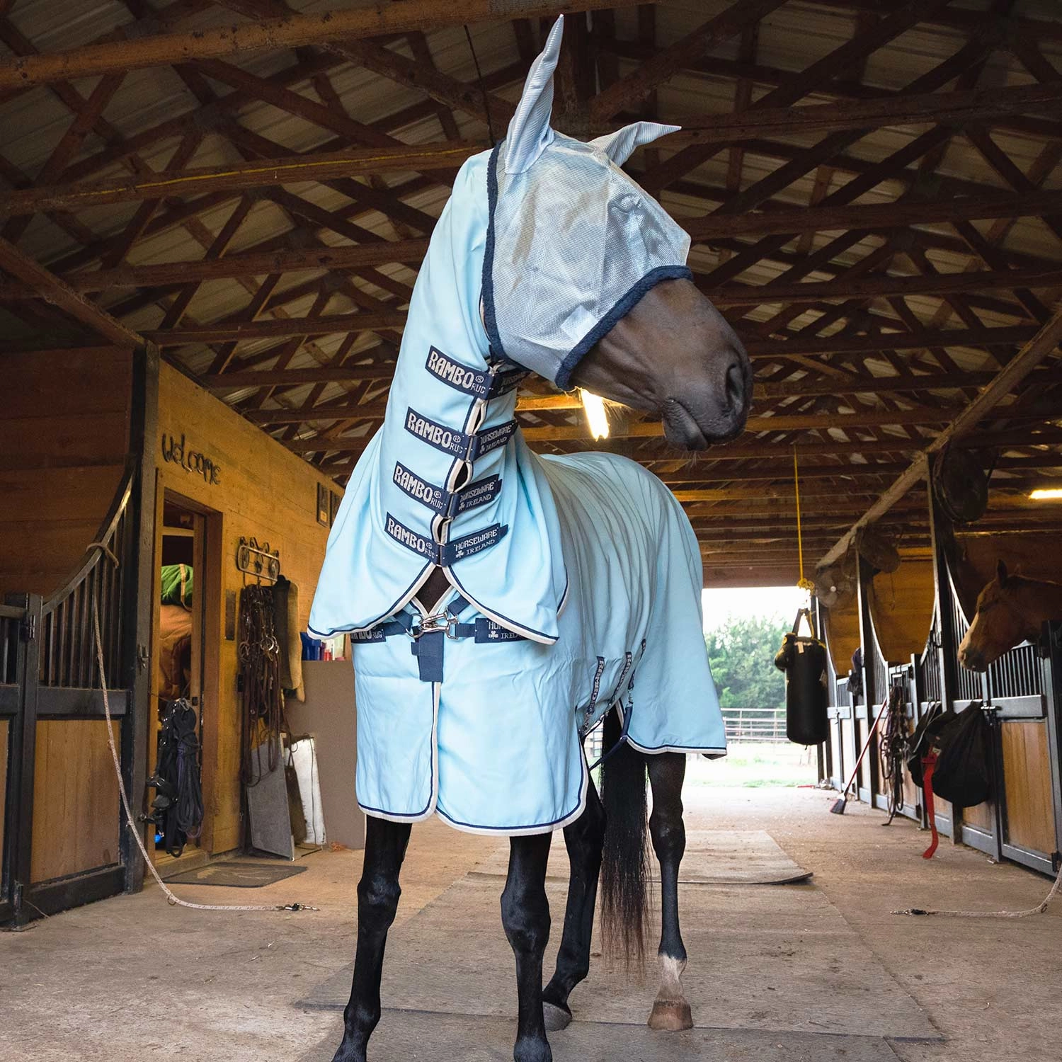 Rambo Hoody Vamoose with No-Fly Zone Horse Fly Sheet