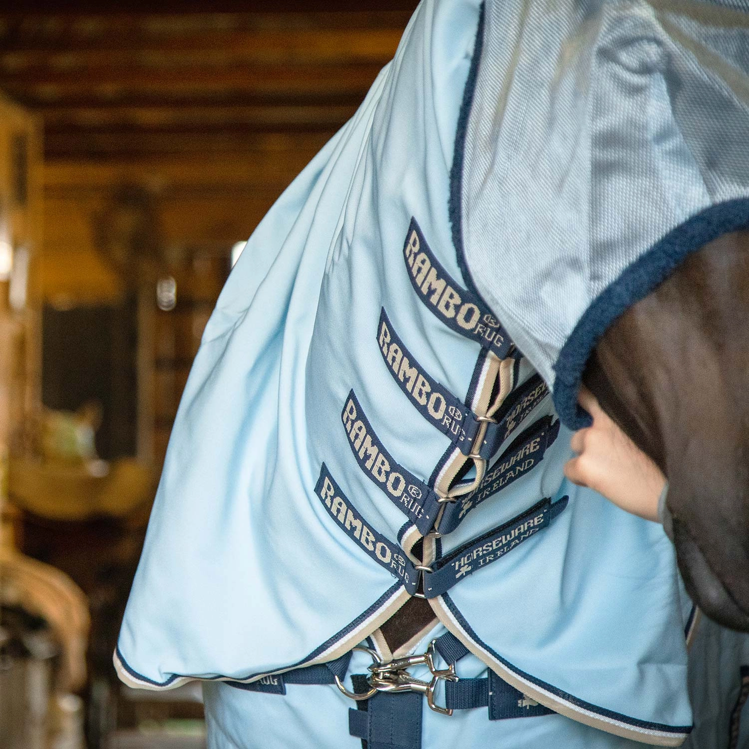 Rambo Hoody Vamoose with No-Fly Zone Horse Fly Sheet