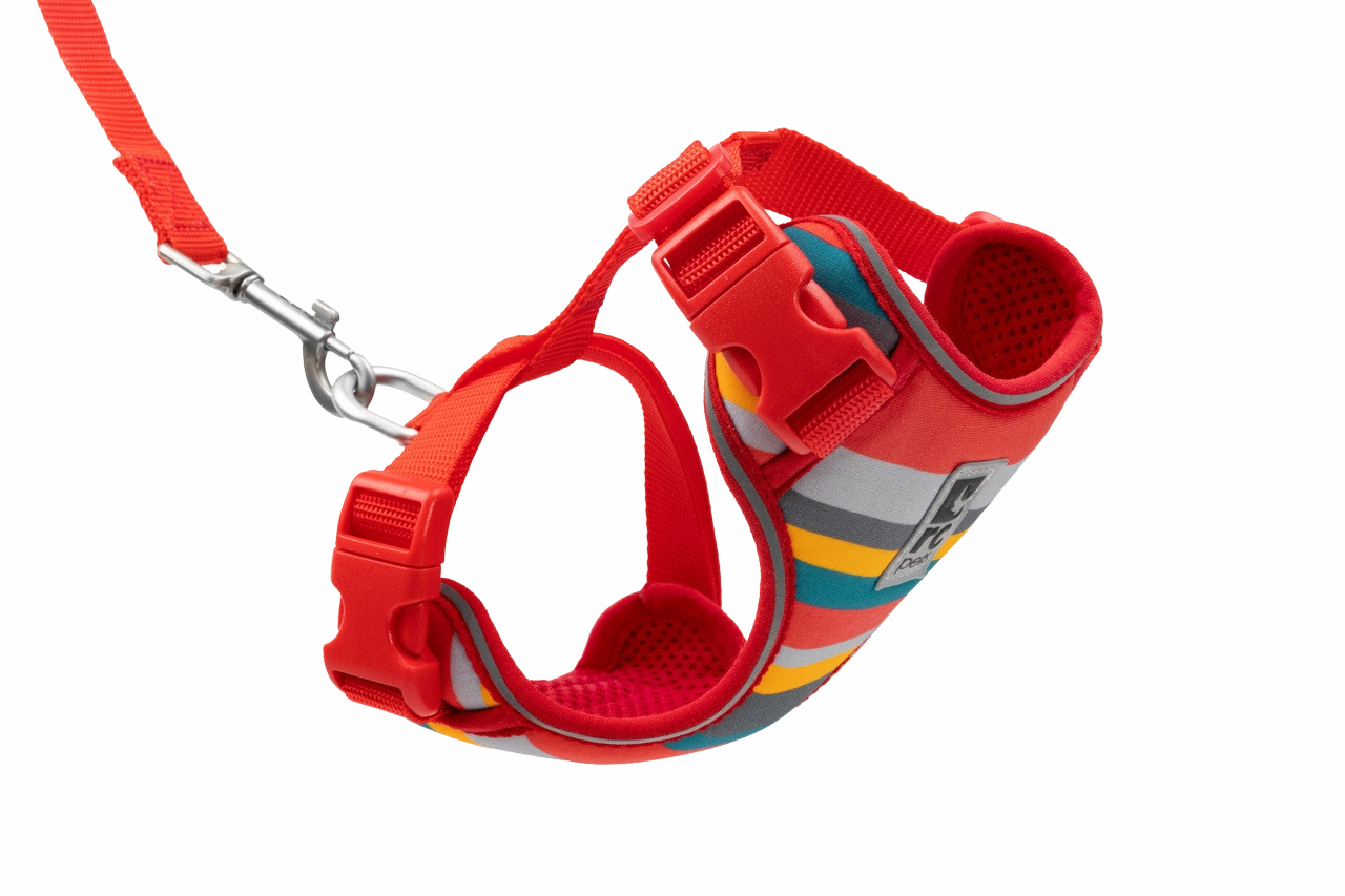 RC Pets Adventure Kitty Harness - Multi Stripes cat toys interactive cat toys cat teaser wand cat balls cat laser pointer