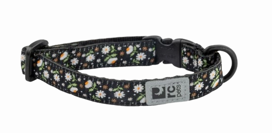 RC Pets Patterned Kitty Breakaway Collar - Daisies cat toys interactive cat toys cat teaser wand cat balls cat laser pointer