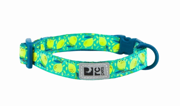 RC Pets Patterned Kitty Breakaway Collar - Lemonade cat toys interactive cat toys cat teaser wand cat balls cat laser pointer