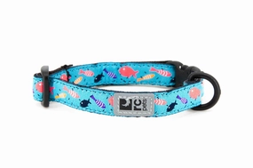 RC Pets Patterned Kitty Breakaway Collar - Shoal cat toys interactive cat toys cat teaser wand cat balls cat laser pointer