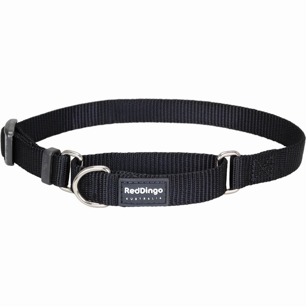 Red Dingo Classic Martingale Dog Collar 12mm
