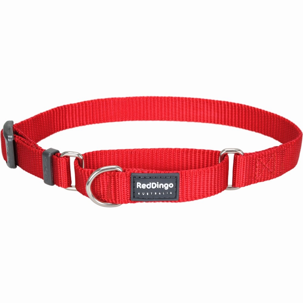 Red Dingo Classic Martingale Dog Collar 12mm