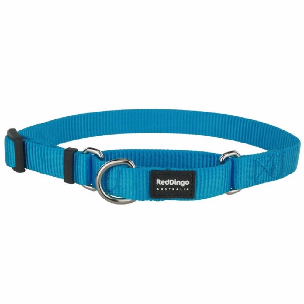 Red Dingo Classic Martingale Dog Collar 12mm