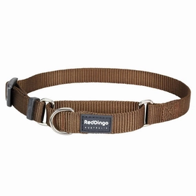 Red Dingo Classic Martingale Dog Collar 12mm grain free dog food natural dog biscuits high protein dog food dog food pack dog meat sticks